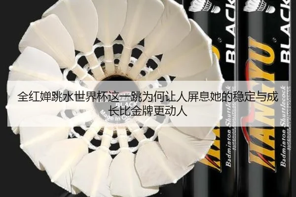 全红婵跳水世界杯这一跳为何让人屏息她的稳定与成长比金牌更动人